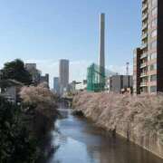 ヒメ日記 2026/03/15 23:01 投稿 愛（アイ） アバンチュール(五反田)