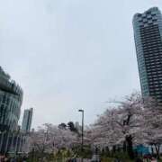 ヒメ日記 2026/03/18 23:01 投稿 愛（アイ） アバンチュール(五反田)