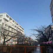 ヒメ日記 2026/03/24 00:01 投稿 愛（アイ） アバンチュール(五反田)