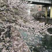 ヒメ日記 2026/04/07 23:01 投稿 愛（アイ） アバンチュール(五反田)