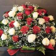 ヒメ日記 2025/01/19 19:10 投稿 まろん とある風俗店♡やりすぎさーくる新宿大久保店♡で色んな無料オプションしてみました