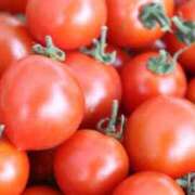 ヒメ日記 2025/08/31 22:01 投稿 まろん とある風俗店♡やりすぎさーくる新宿大久保店♡で色んな無料オプションしてみました