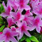 ヒメ日記 2025/04/23 16:36 投稿 橘　えま 神戸ホットポイント