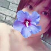 ヒメ日記 2025/04/01 19:28 投稿 海野 鶯谷人妻城