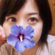 ヒメ日記 2025/04/25 17:02 投稿 海野 鶯谷人妻城