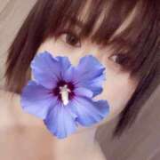 ヒメ日記 2025/12/29 20:01 投稿 海野 鶯谷人妻城