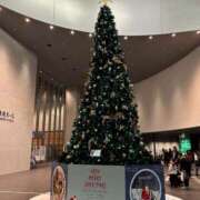 ヒメ日記 2024/12/26 00:25 投稿 矢口 BBW横浜店