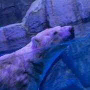 ヒメ日記 2025/02/28 17:05 投稿 矢口 BBW横浜店