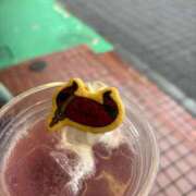 ヒメ日記 2025/03/31 11:47 投稿 矢口 BBW横浜店