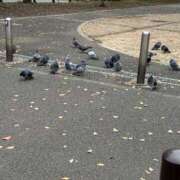 ヒメ日記 2025/04/01 00:20 投稿 矢口 BBW横浜店