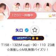 ヒメ日記 2025/07/24 12:08 投稿 矢口 BBW横浜店