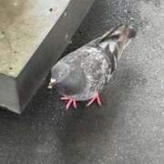 ヒメ日記 2025/09/06 08:15 投稿 矢口 BBW横浜店