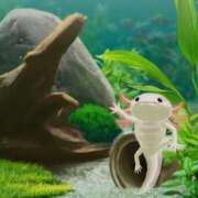 ヒメ日記 2025/11/15 15:04 投稿 矢口 BBW横浜店