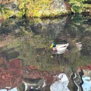 ヒメ日記 2025/12/18 08:31 投稿 矢口 BBW横浜店