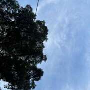 ヒメ日記 2026/01/15 15:58 投稿 矢口 BBW横浜店