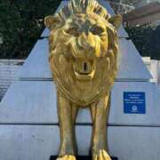 ヒメ日記 2026/01/24 09:15 投稿 矢口 BBW横浜店