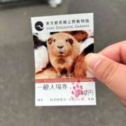 ヒメ日記 2026/02/13 11:32 投稿 矢口 BBW横浜店