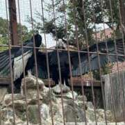 ヒメ日記 2026/02/27 11:54 投稿 矢口 BBW横浜店