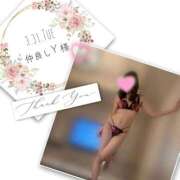 ヒメ日記 2026/04/15 00:19 投稿 収容番号：41番 非自由人躾専門店 淫姦収容所 日本橋本拠地