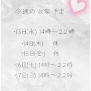 ヒメ日記 2026/05/12 16:49 投稿 収容番号：41番 非自由人躾専門店 淫姦収容所 日本橋本拠地