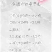 ヒメ日記 2026/05/19 16:49 投稿 収容番号：41番 非自由人躾専門店 淫姦収容所 日本橋本拠地