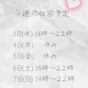 ヒメ日記 2026/06/02 16:29 投稿 収容番号：41番 非自由人躾専門店 淫姦収容所 日本橋本拠地