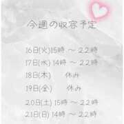 ヒメ日記 2026/06/16 17:19 投稿 収容番号：41番 非自由人躾専門店 淫姦収容所 日本橋本拠地