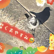 ヒメ日記 2025/01/02 16:25 投稿 なぎさ プレイガール(亀有)