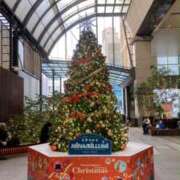 ヒメ日記 2024/12/17 16:32 投稿 まり 性腺熟女100％鶯谷（デリヘル市場）