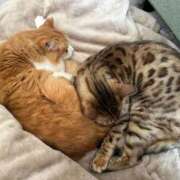 ヒメ日記 2025/03/18 20:53 投稿 すずか ナイスレディ