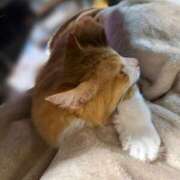 ヒメ日記 2025/04/13 12:36 投稿 すずか ナイスレディ