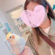 ヒメ日記 2025/04/14 12:16 投稿 すずか ナイスレディ