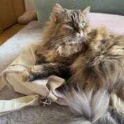 ヒメ日記 2025/04/24 14:01 投稿 すずか ナイスレディ