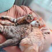 ヒメ日記 2025/05/10 13:05 投稿 すずか ナイスレディ