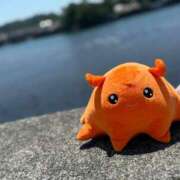 ヒメ日記 2025/08/13 08:45 投稿 すずか ナイスレディ