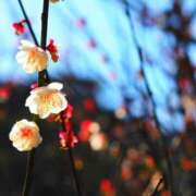 ヒメ日記 2026/02/23 16:00 投稿 すずか ナイスレディ