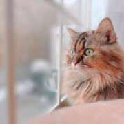 ヒメ日記 2026/03/08 10:09 投稿 すずか ナイスレディ