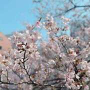 すずか 🌸🌸🌸 ナイスレディ