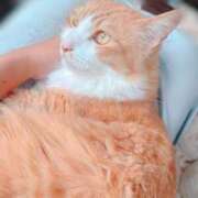 すずか _( ;ω; 」_)_ ナイスレディ