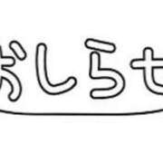 ヒメ日記 2024/11/21 14:36 投稿 ゆうわ 艶熟妻 京都店