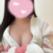 ヒメ日記 2025/04/23 11:30 投稿 かりん プールサイド