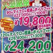 ヒメ日記 2025/12/15 12:00 投稿 かりん プールサイド