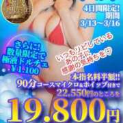 ヒメ日記 2026/03/14 12:00 投稿 かりん プールサイド