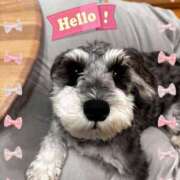 ヒメ日記 2024/12/20 13:30 投稿 たまき 奥鉄オクテツ大阪