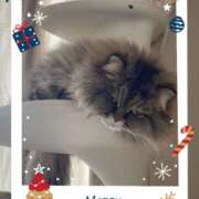 ヒメ日記 2024/12/24 12:50 投稿 たまき 奥鉄オクテツ大阪