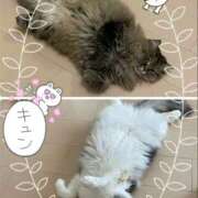 ヒメ日記 2025/01/08 08:40 投稿 たまき 奥鉄オクテツ大阪