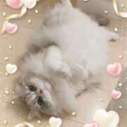 ヒメ日記 2025/01/21 13:55 投稿 たまき 奥鉄オクテツ大阪