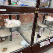 ヒメ日記 2025/01/22 20:25 投稿 たまき 奥鉄オクテツ大阪