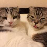 ヒメ日記 2025/02/19 10:30 投稿 たまき 奥鉄オクテツ大阪