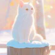 ヒメ日記 2025/02/21 13:15 投稿 たまき 奥鉄オクテツ大阪